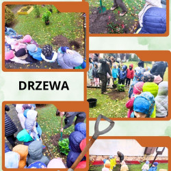 DZIEŃ DRZEWA – WIZYTA PANI LEŚNIK